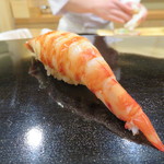 日本橋蛎殻町 すぎた - 車海老握り