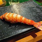 日本橋橘町　都寿司 - クルマエビ