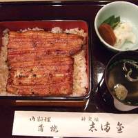 かぐら坂 志満金 - うな重・月