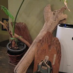 ZEN茶’fe - ひねくれ坊主