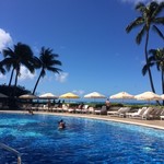 Orchids - 適当に撮っても綺麗