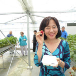 てんこもり農作物直売所 - イチゴ狩り