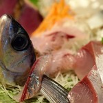 鮮魚とおばんざい 浜金 - トビウオ（刺身盛り合せ 厳選三点盛り）