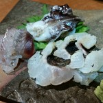 あなぐま亭 - 刺身盛合せ。