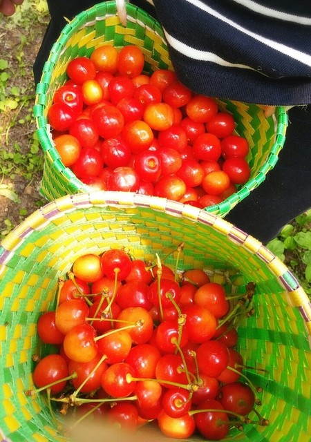 広果園（コウカエン） - 神町（その他）の写真