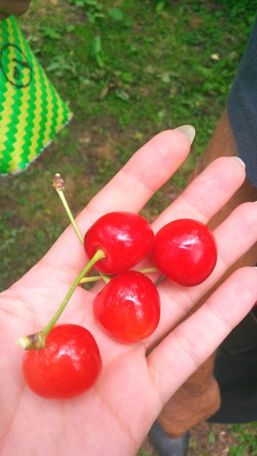 広果園（コウカエン） - 神町（その他）の写真