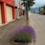 富川製麺所 日の出店 - 2016/7  店舗外観  其の壱