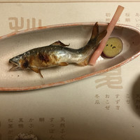 吉星 - 