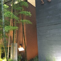 吉星 - 