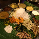 Spice&Dining KALA - 201607再訪 本日のミールス