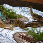 和ごころ 泉 - 清流を泳いでいるよう