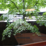 Restaurant Satoshi.F - 