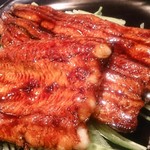 稲城 ヨロシク寿司 - 岡山県児島湾天然うなぎ