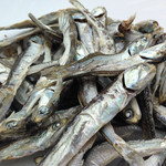 讃岐うどん河野 - 2016-07-12-12:40