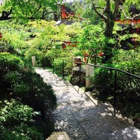 東京 芝 とうふ屋うかい - 