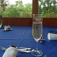 メインダイニングルーム 三笠 - 