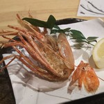 俺の魚を食ってみろ!! - 刺身をいただいた後は、何とボタン海老の頭を素揚げに！