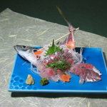 四季彩亭　政 - 新鮮な魚をその場で料理