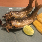 日本料理 晴山 - 長良川の、上流の鮎