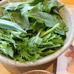 やさいしゃきしゃきだょ～ん