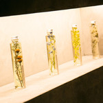 北新地 大嵓埜 - 