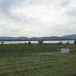 天橋立ワイナリー - 店内からこんな感じで見えます。