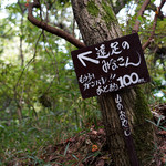 城山オレンヂ園 - あと100mm。。。