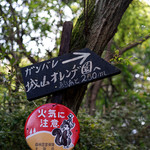 城山オレンヂ園 - 「ガンバレ」と励ましのメッセージ。