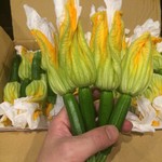イルテンポベアート - 生の花ズッキーニ