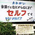 城山オレンヂ園 - 基本はセルフ。