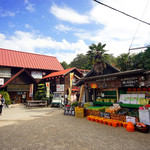 城山オレンヂ園 - 天気も良く清々しい♪