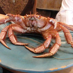 初音鮨 - (2016/6)