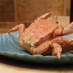 初音鮨 - (2016/6)