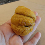 初音鮨 - (2016/6)