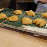 初音鮨 - (2016/6)