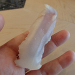 初音鮨 - (2016/6)