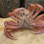 初音鮨 - (2016/6)