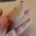 初音鮨 - (2016/6)