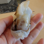 初音鮨 - (2016/6)