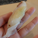 初音鮨 - (2016/6)