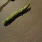 ラ カンロ - ミニミニ胡瓜