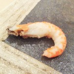 寿し ひでたか - (2016.7) 北海しまえび