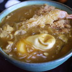 そば処　富貴庵 - たねこみカレー南蛮そば