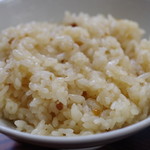 宗庵 よこ長 - かしわ飯