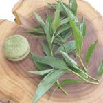 シック プッテートル - アミューズ2（鮎と蓼のマカロン）