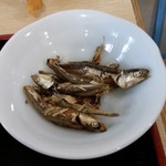 本格さぬきうどん　穂乃香 - 