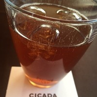 CICADA - 