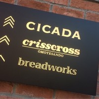 CICADA - 