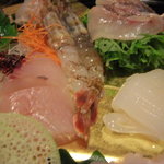 炭平 - 白いか・平目・白海老・沖あじ