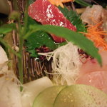 炭平 - 中トロ・ソイ・メバル